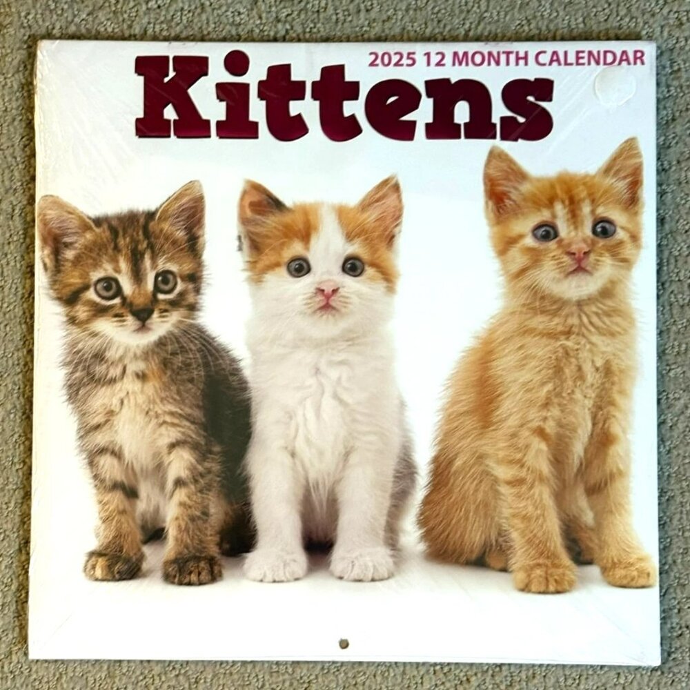 2025 Kittens Wall Calendar Cute Cats 12-Month Animal Planner for Cat Lovers
